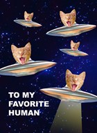Kat in ufo